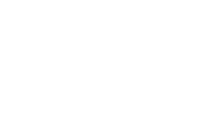 Bureo logo