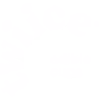 Twiice logo