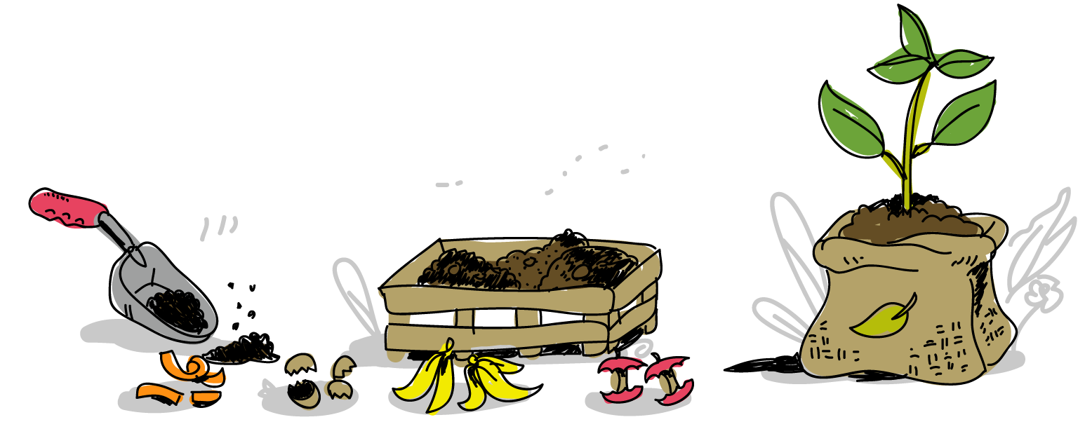 Hand-drawn illustration of composting: a seedling growing from a sack of soil, a crate of finished compost, and scattered banana peels, apple cores and eggshells beside a trowel.
